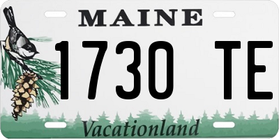 ME license plate 1730TE