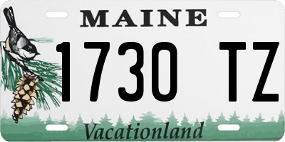 ME license plate 1730TZ