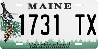 ME license plate 1731TX