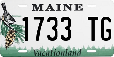 ME license plate 1733TG