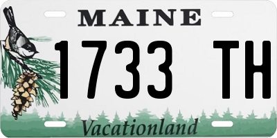 ME license plate 1733TH