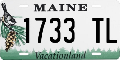 ME license plate 1733TL