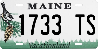 ME license plate 1733TS