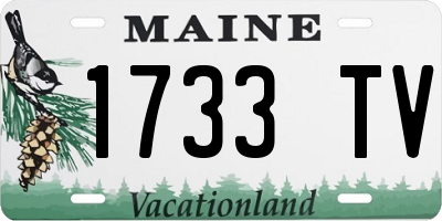 ME license plate 1733TV