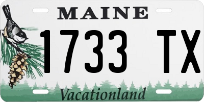 ME license plate 1733TX