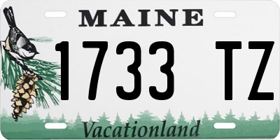 ME license plate 1733TZ