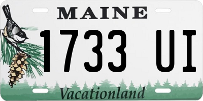 ME license plate 1733UI