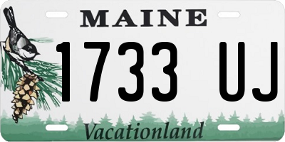 ME license plate 1733UJ