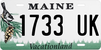 ME license plate 1733UK