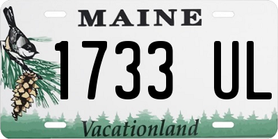 ME license plate 1733UL