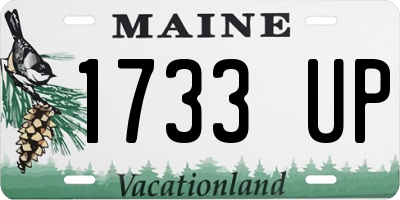 ME license plate 1733UP