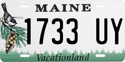 ME license plate 1733UY
