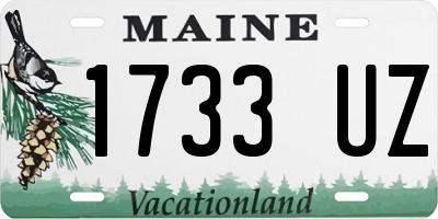 ME license plate 1733UZ