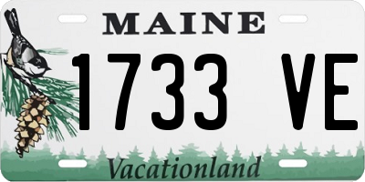 ME license plate 1733VE