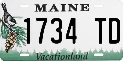 ME license plate 1734TD
