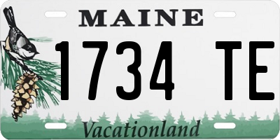 ME license plate 1734TE