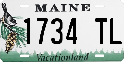 ME license plate 1734TL