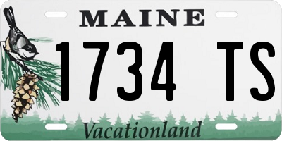 ME license plate 1734TS