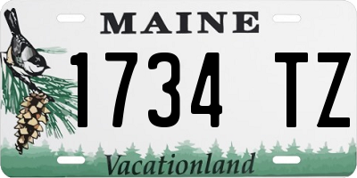 ME license plate 1734TZ