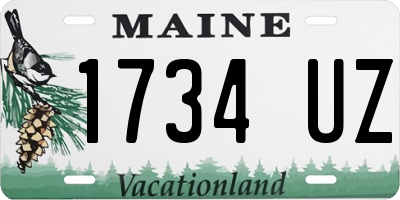 ME license plate 1734UZ