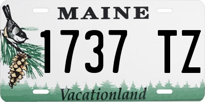 ME license plate 1737TZ
