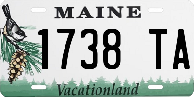 ME license plate 1738TA