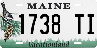 ME license plate 1738TI