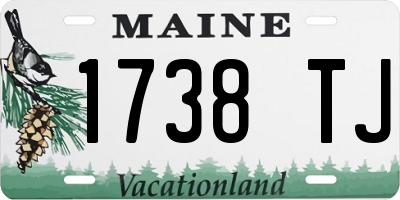 ME license plate 1738TJ