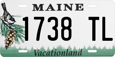 ME license plate 1738TL