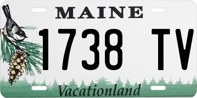 ME license plate 1738TV