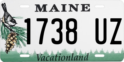 ME license plate 1738UZ