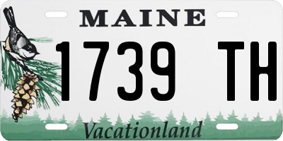 ME license plate 1739TH