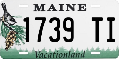 ME license plate 1739TI