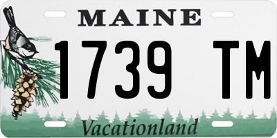 ME license plate 1739TM