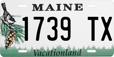 ME license plate 1739TX