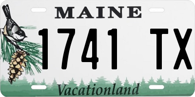 ME license plate 1741TX
