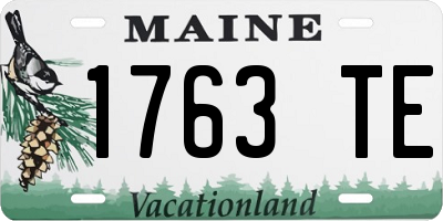 ME license plate 1763TE
