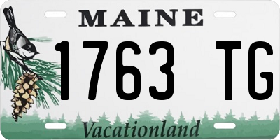 ME license plate 1763TG
