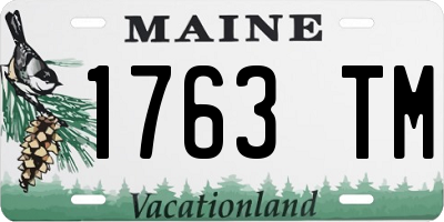 ME license plate 1763TM