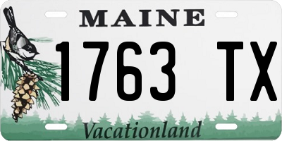 ME license plate 1763TX