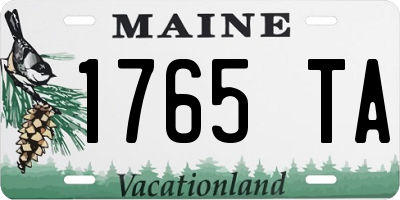 ME license plate 1765TA