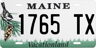 ME license plate 1765TX