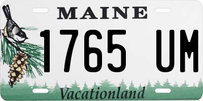 ME license plate 1765UM