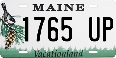 ME license plate 1765UP