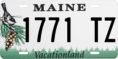 ME license plate 1771TZ