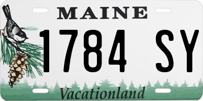 ME license plate 1784SY