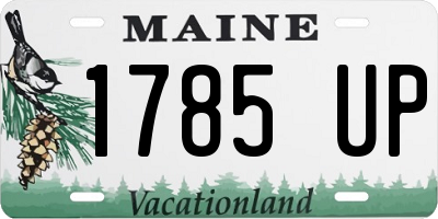 ME license plate 1785UP