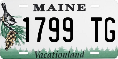 ME license plate 1799TG