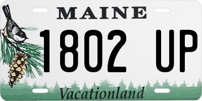 ME license plate 1802UP