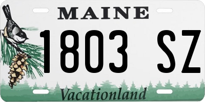 ME license plate 1803SZ